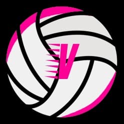 Volleyballs