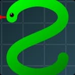 Snake Evolution
