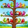 Magic Bird Sort icon