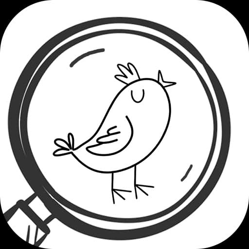 Hidden Birds artwork