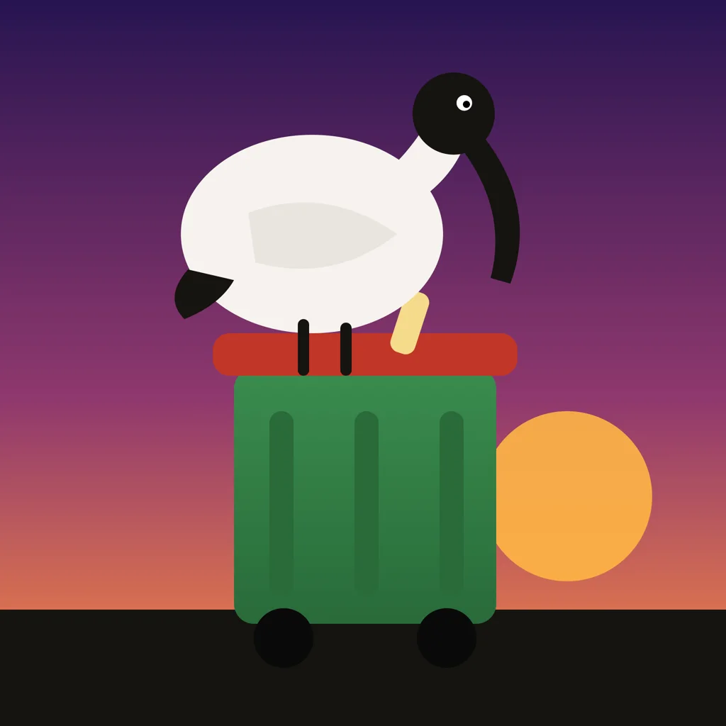 Bin Chicken artwork