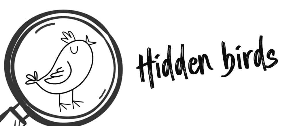 Banner for Hidden Birds